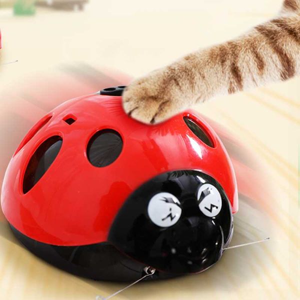 

cat toys [& mpk store] catch me if you can super fun toy, battery-operated pet watch our video to know more