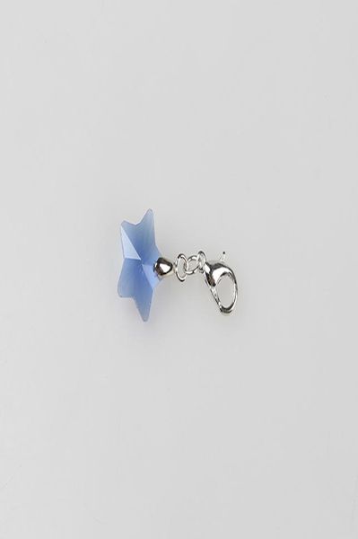 

10 шт. лот красочные кристаллические розовые звезды лобстер застегивание клиплицы 14 мм для стекло живой памяти медиката diy аксессуары бесп, Black