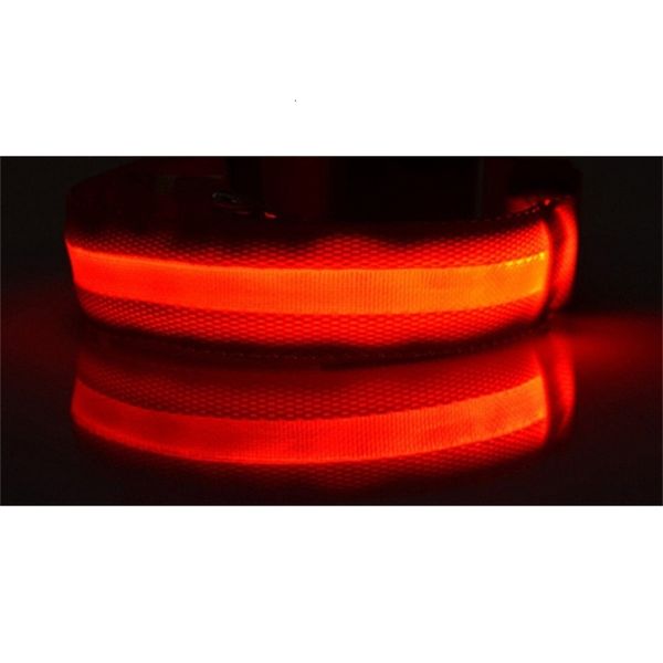 

flash cat flashlights dibo america huskies teddy large dog collars s m l xl emitting led pet supplies free
