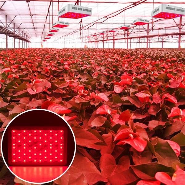 

discount 1500w high intensity led dual chips 380-730nm full light spectrum led plant growth lamp white grow lights