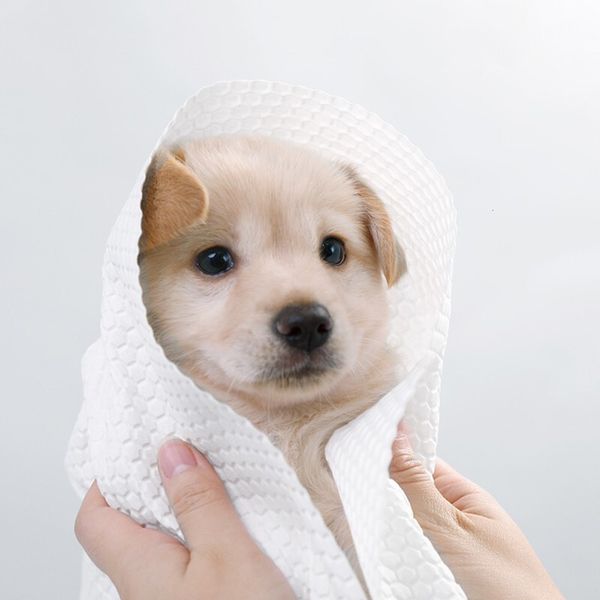 

pet dog disposable cat quick drying super large teddy bath towel