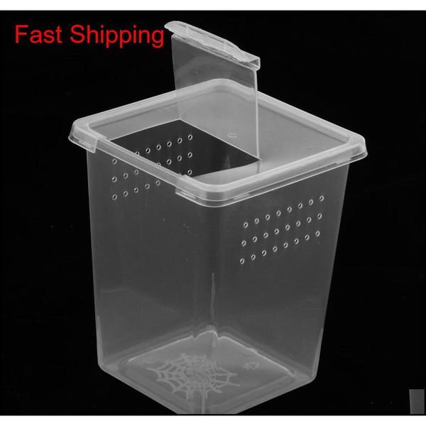 

10x clear plastic insect habitat feeding box case con qyloqp packing2010