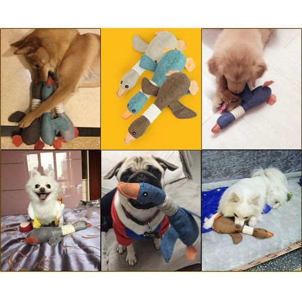 

dogs toys plush canvas bite toys for pets cats dog cite vocal creative simulation animals toy for kitty chew squeak toy 30 wmtjft