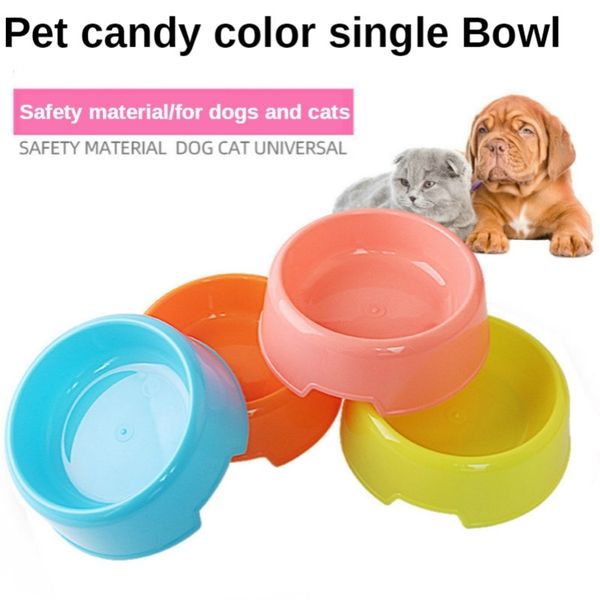 

cat bowl, dog bowl