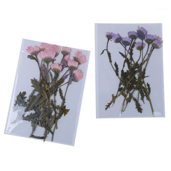 

decorative flowers & wreaths 10pcs/pack real pressed flower leaves dried for diy phone case resin jewelry decoration scrapbooking1