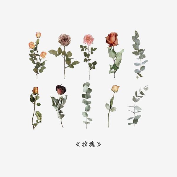 

tianzi 6 дизайн сухих цветов серия наклейка декоративного коллаж скрапбукинг альбом back to school stationery наклейка эстетической wmtqpv