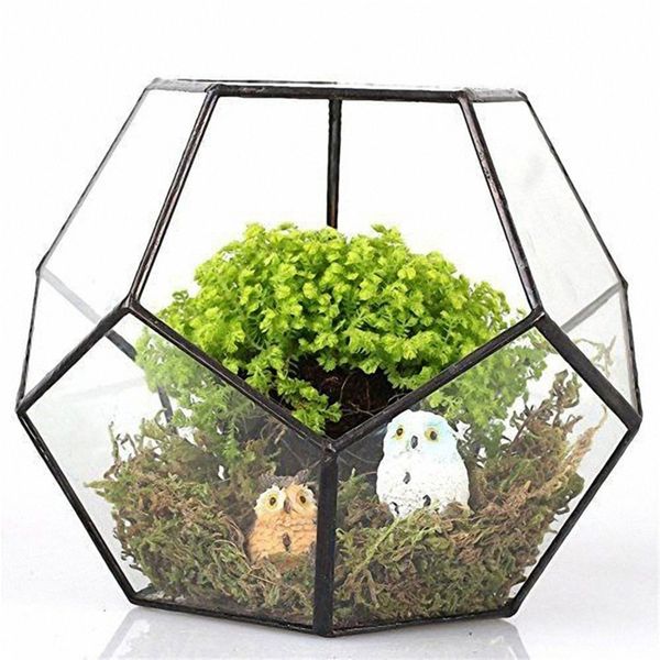 Venda quente vidro preto pentágono geométrico Terrarium recipiente de janela decoração de soleira de flor Plantador de varanda DIY Caixa de exibição Y200709