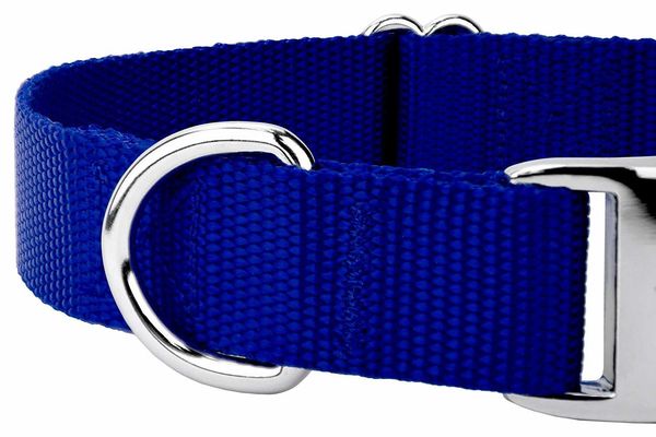 

collar country nylon brook petz dog | premium with metal buckle