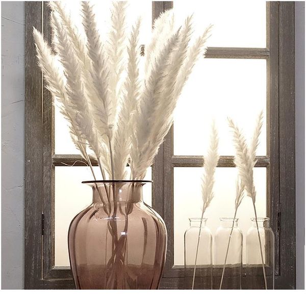 

7pcs bulrush natural dried small pampas grass phragmites christmas home decor diy dried real flowers bouquet flower arr jllvpg