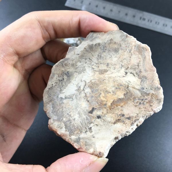 

natural raw stone polished wood stone slice specimen collectibles coffee pads coaster crafts home decor drop shipping h jlliec