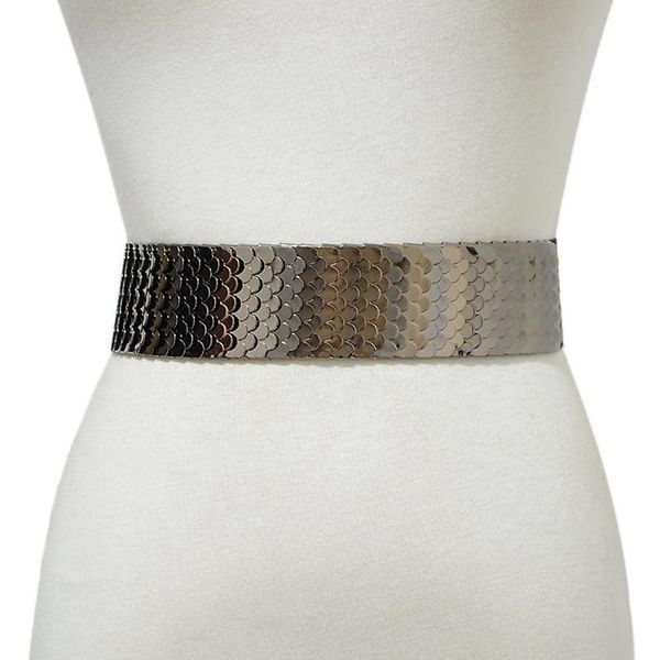 

aetrends] women elastic belt female gold silver mirror waist belts fashion ladies metal fish scales dress waistband d-0204, Black;brown