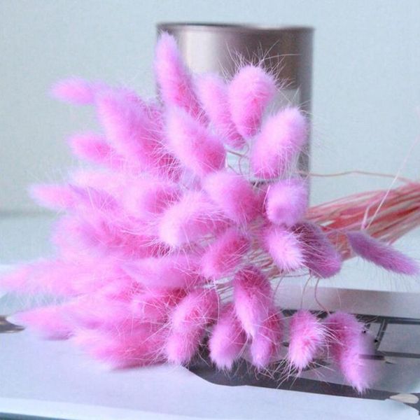

30pcs/lot natural dried flowers rabbit tail grass bunch colorful lagurus ovatus real flower bouquet for home wedding de jllcpa