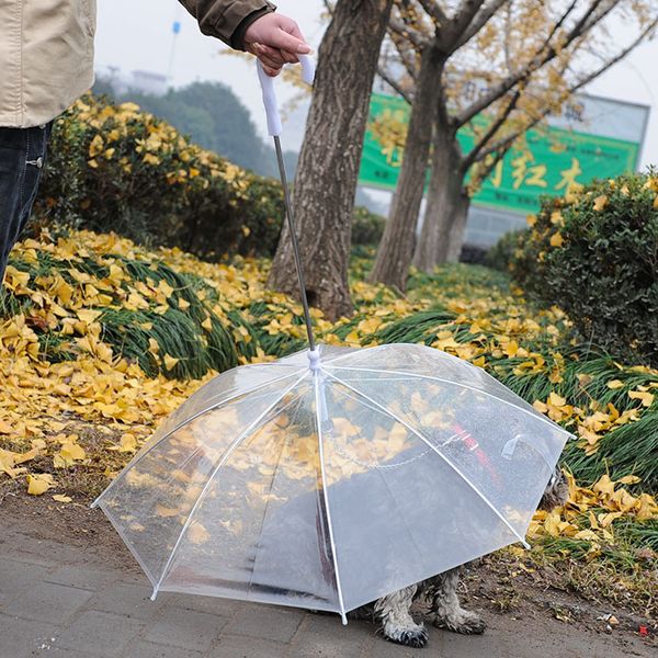 

puppy transparent pe umbrella small rain gear with dog leads keeps pet travel outdoors supplies wx9-1314