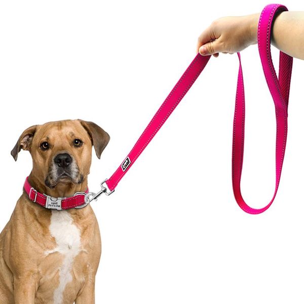 

120cm nylon dog leash reflective dog lead leash for small medium dogs walking training running durable bbyjzv