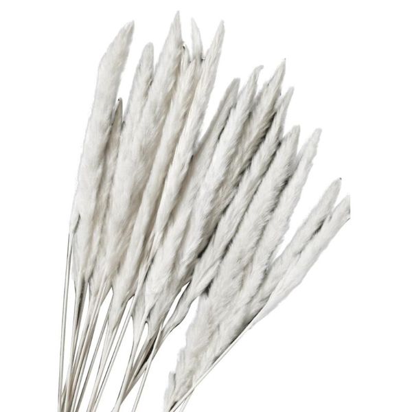 

больше выбора