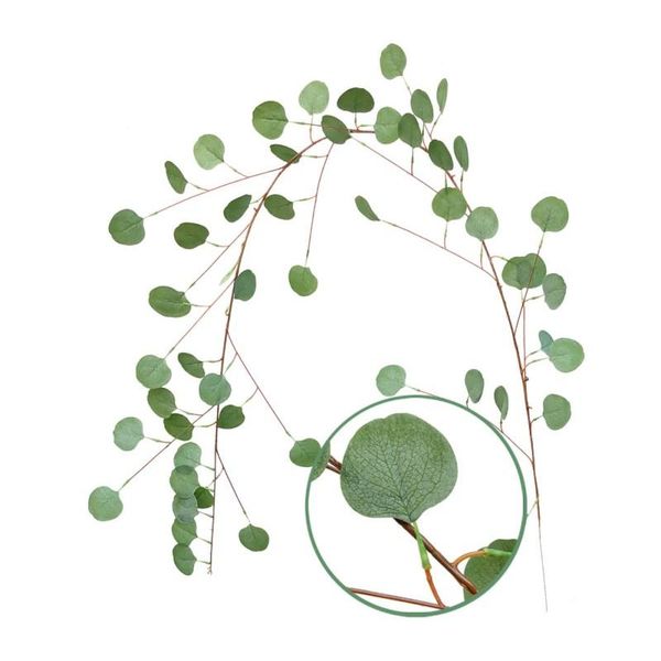 

decorative flowers & wreaths 2m artificial eucalyptus leaves vine fake greenery garland wedding party decoration home decor supplies