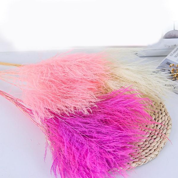 

10pcs 20pcs pink rosy cream natrual dried flower feather grass home room decor table wedding party decoration dry flower