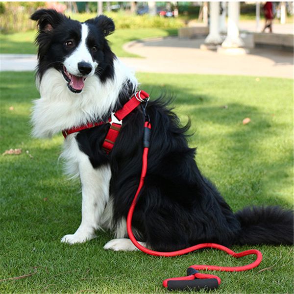

traction rope pet for small large pull adjustable dog vest classic running leash training collar and harness