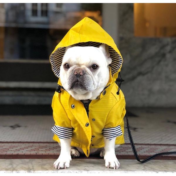 

insfashion windproof rainproof dog dog raincoats dog pet jackets insgood quality sales bbyzoj xmhyard