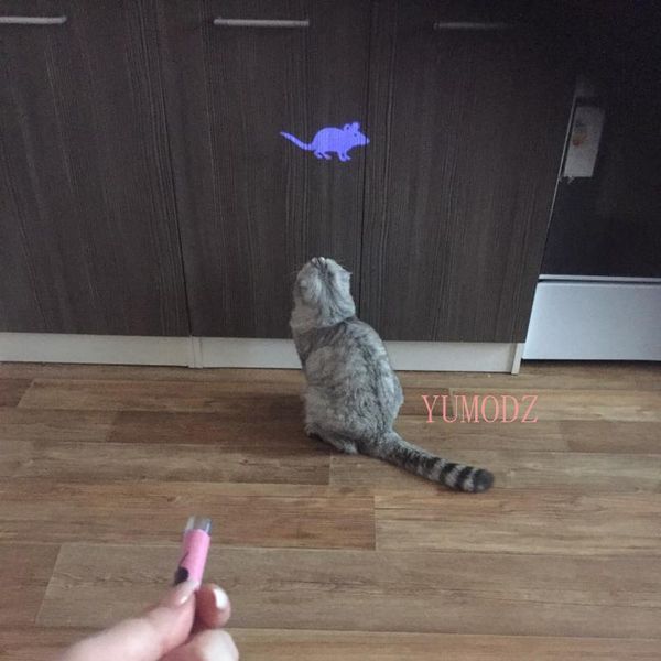

cat toys amazingly toy creative and funny pet led pointer light pen with bright animation interactive products