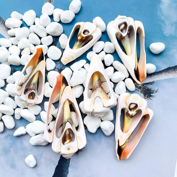 

5pcs 42 61mm natural shell conch decor diy jewelry pendants accessories specimen home decoration seashells for jewelry making h bbytdz
