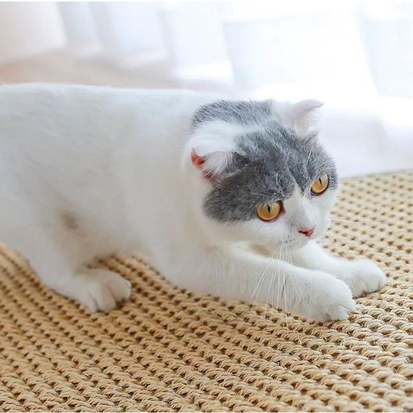 

cat toys natural sisal scratcher mat with a toy mouse for climbing frame grinding creative pet