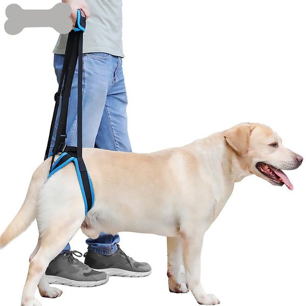 

pet dog harness dog sling lift harness leg brace hind leg help walking dogs pet balance auxiliary belt strap dropshiping