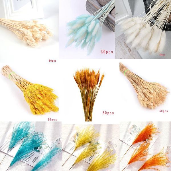

natural dried flowers diy artificial flowers decorative pampas grass phragmites wheat plants for home wedding decorati jllseg
