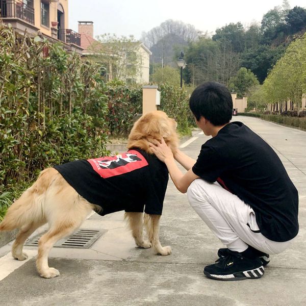 

tlb large parent-child t-shirt alaska golden husky samo vt big dog coat