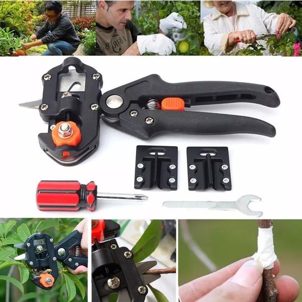 

plant cut nursery garden branch cutter scissor shear floristry grape secateur fruit tree pruner pruning vine seedle graft tool1
