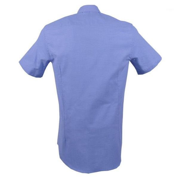 

light blue male shirt1, White;black