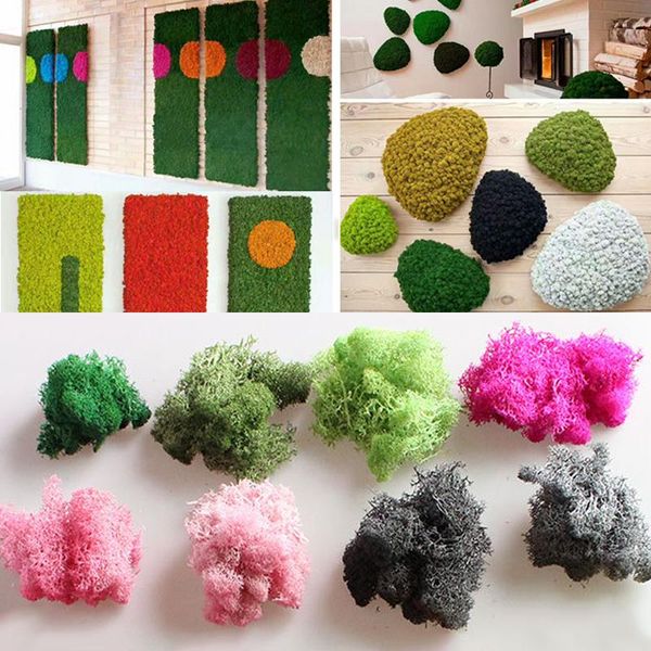

decorative flowers & wreaths artificial plant eternal life moss garden home wedding christmas decoration wall diy flower micro landscape acc