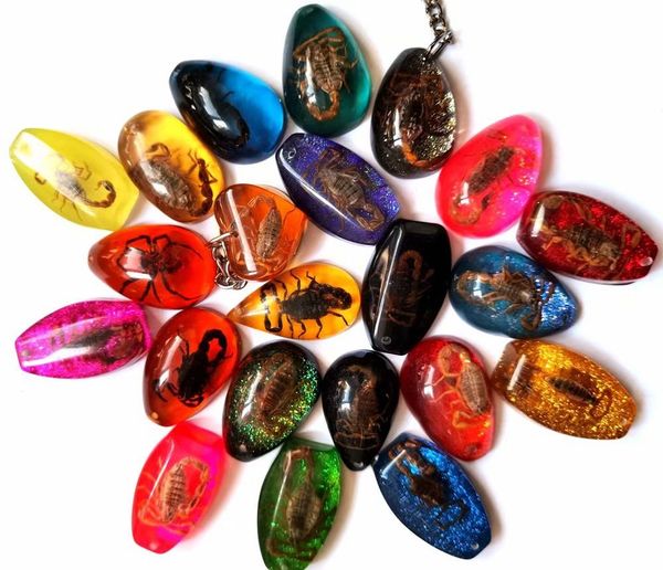 

yqtdmy 12 pcs mixed color insect scorpion charming keychain insect specimen keychain crafts, Slivery;golden