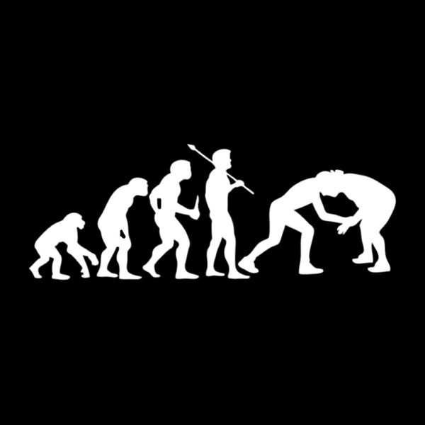 

16.2*6cm fashion wrestling evolution car styling stickers vinyl accessories c16-0414