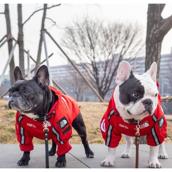 

usa national flag fashion windproof rainproof dog dog large dog raincoats pet jackets bbywwy xmhyard