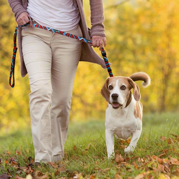 

nylon dog leash lead printed pet walking running training dog leashes rope for small medium large dogs durable bbyqdg