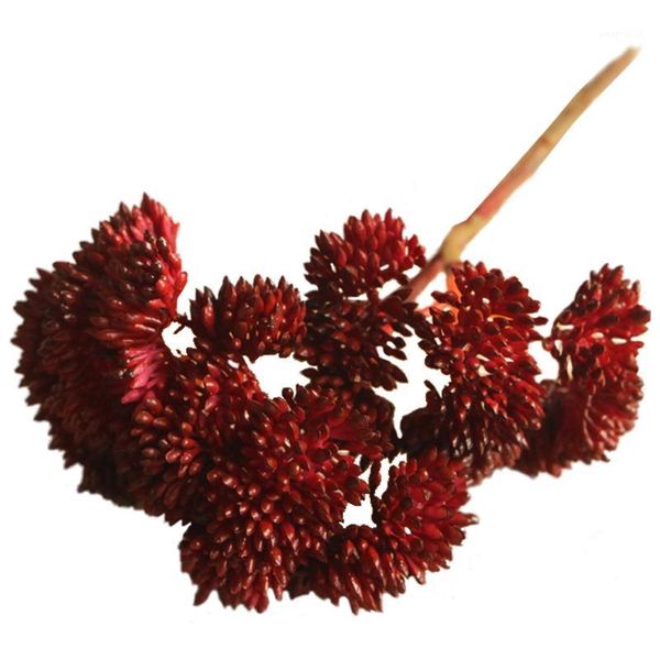 

fruit rare garden succulent grass desert artificial plant landscape fake flower arrangement garden decor red1