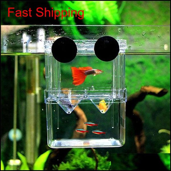 

aquarium fish breeding box pet fish tank guppy double breeding breeder rearing hatchery splits fish tank t qyluxm sports2010