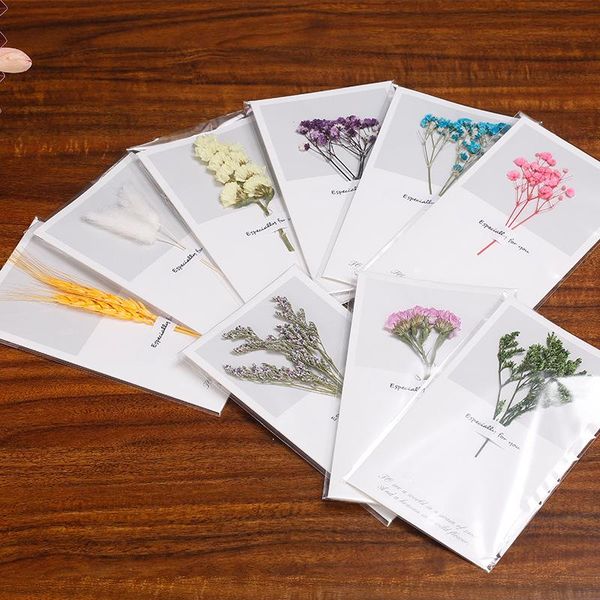 

chen fan preserved fresh flower birthday cards dried flower mother's day cards real flowers thanksgiving dragon boat festival va