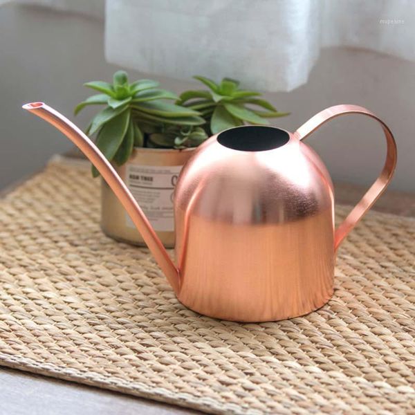 

watering equipments rose gold small kettle water tiny house plants succulents bonsai gardens steel plant waterer for miniature flower pots1