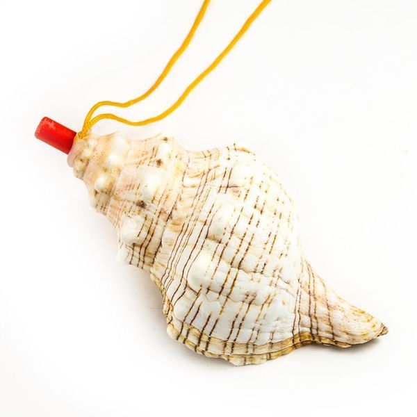 

natural conch whistle pendant shell spiral snail blowing whistle children's toy gifts survival tool souvenir instrument craft h wmtaij