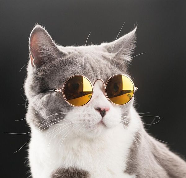 

wholesale 20pcs/lot cat eye-wear pet sunglasses little dog glasses cat glasses ps props dog cat accessories pet supplies y19061901