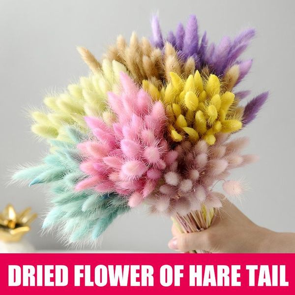 

50 pcs dried flower grass decoration pgraphy props for home store wedding price