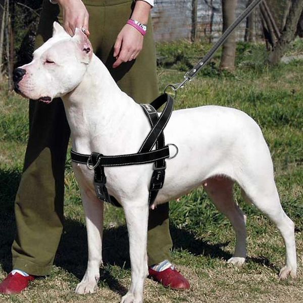 

nylon reflective no pull large dog harness quick fit pet harnesses vest adjustable for large dogs golden retriever safe wmtwte