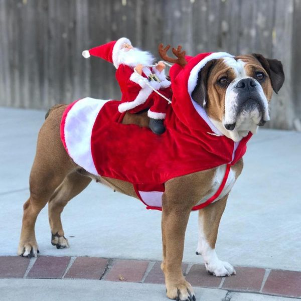 

dog apparel clothes for spitz dogs pet christmas costume santa claus riding