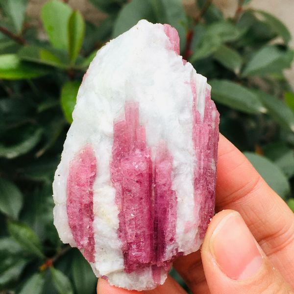

natural pink tourmaline crystal rough rare mineral specimens, Silver