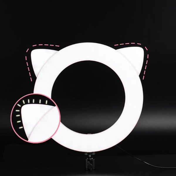 

flash heads 2021 meng pet anchor live ring light mobile video po beauty make up fill accessories