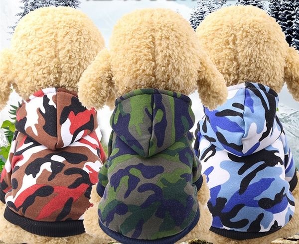 

dog apparel costume uk patterns pet coat clothing clothes autumn winter colour trends christmas halloween small dog puppies