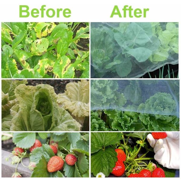 

тепличные изделия защитные чистые фрукты овощи уход за уходом на насекомых чистые заводы охватывают чистый сад борьба с борьбой меш 3x2m d1