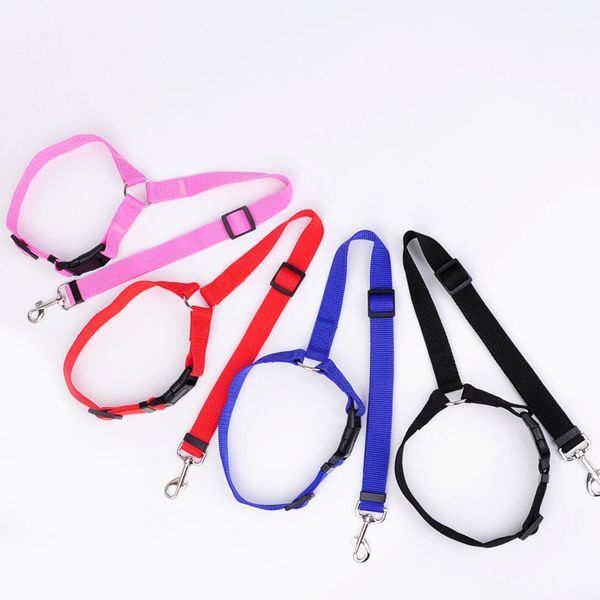

adjustable dog collar and lead leash set nylon clip tough strong cute dogs supplies accessories